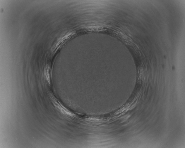 X0000065961202200603031119
