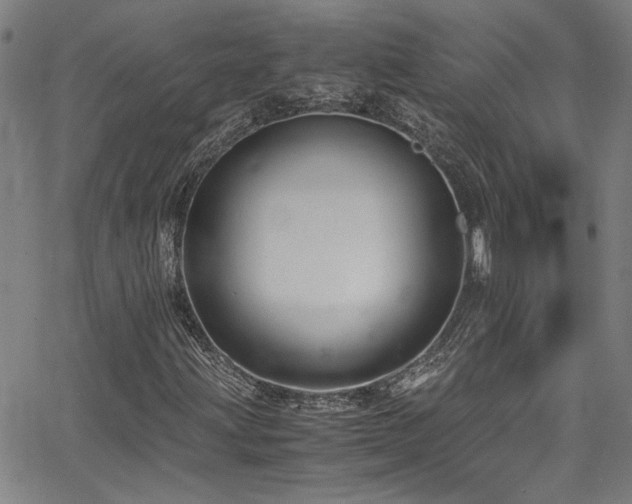 X0000065961203200603031119