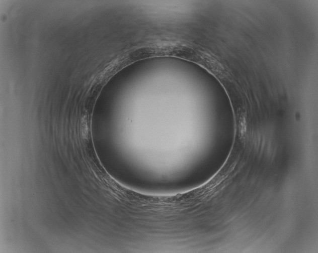 X0000065961204200603031119
