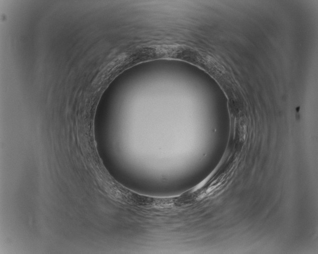 X0000065961249200603031119