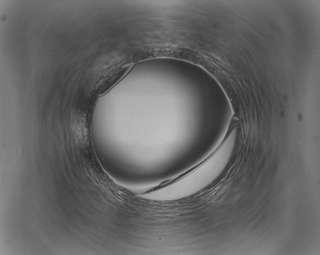 X0000065961252200603031119