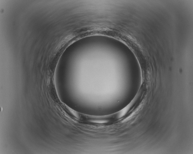 X0000065961257200603031119