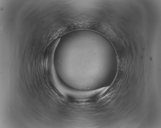 X0000065961298200603031118
