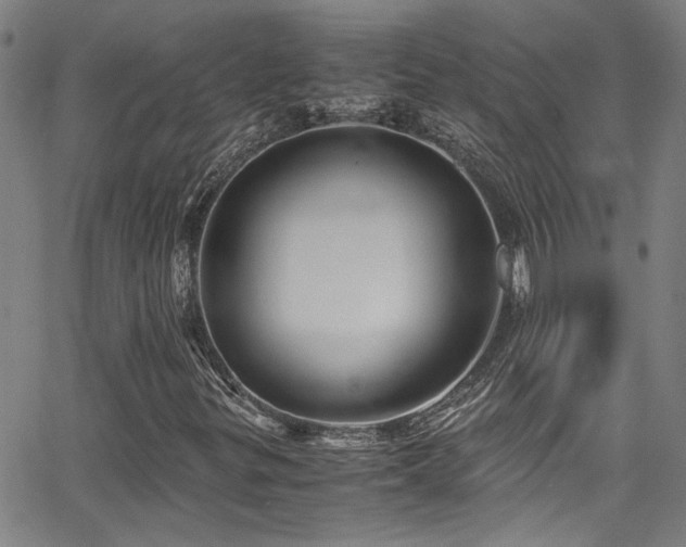 X0000065961299200603031118