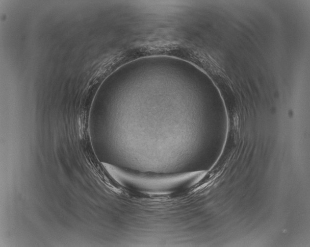 X0000065961300200603031118