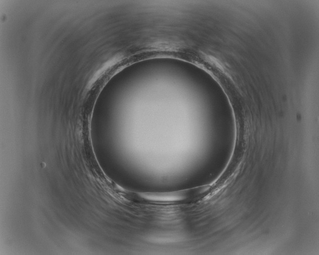 X0000065961307200603031118