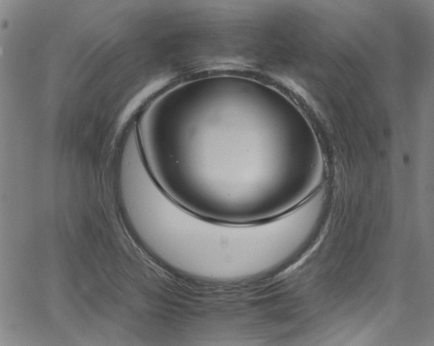 X0000065961317200603031118