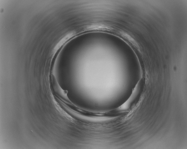 X0000065961330200603031118