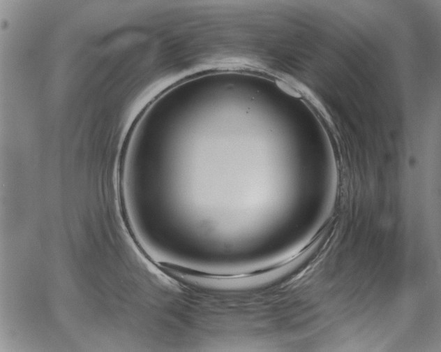 X0000065961343200603031118