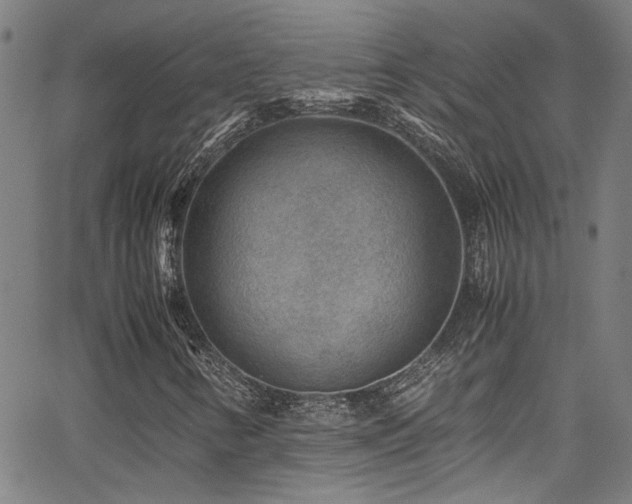 X0000065961346200603031117