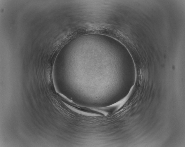 X0000065961348200603031117
