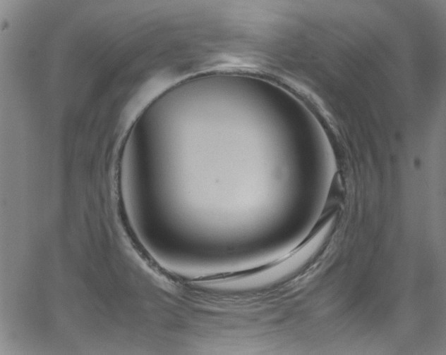 X0000065961375200603031117
