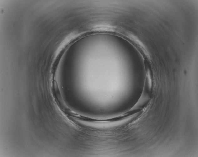 X0000065961376200603031117
