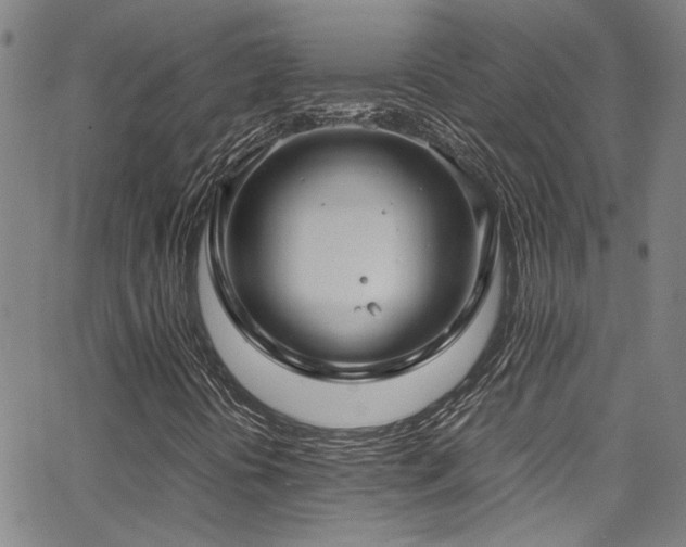 X0000065961394200603031116