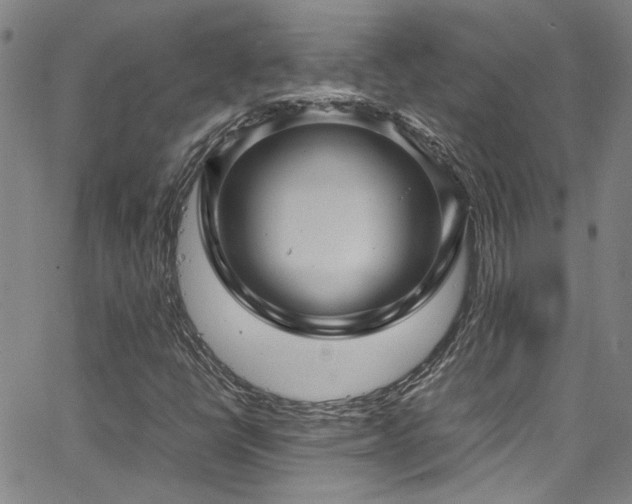 X0000065961398200603031116