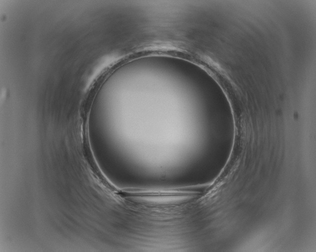 X0000065961408200603031116