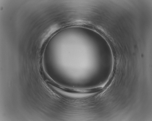 X0000065961410200603031116