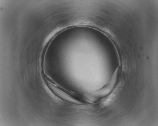 X0000065961422200603031116