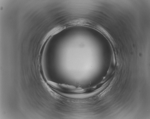 X0000065961434200603031117