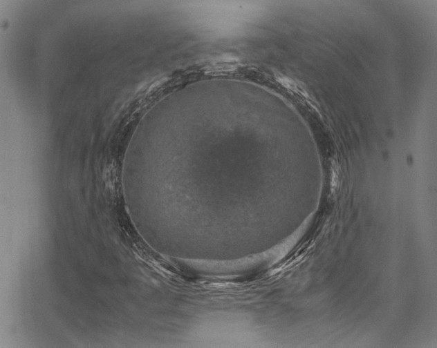 X0000065961445200603031116