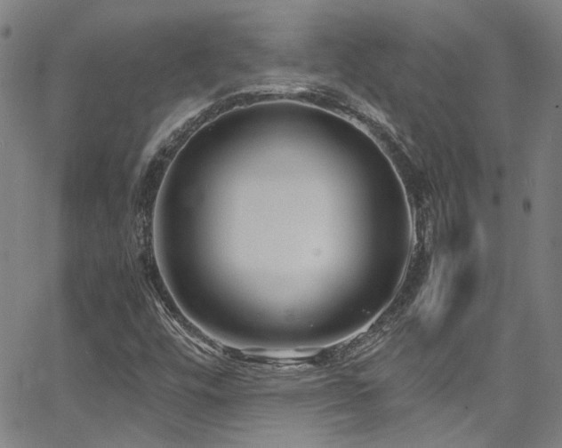 X0000065961448200603031116