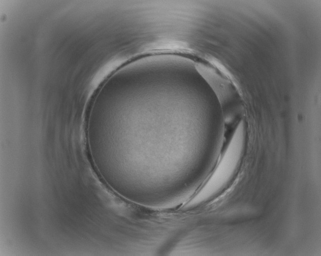 X0000065961469200603031115
