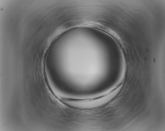 X0000065961480200603031115