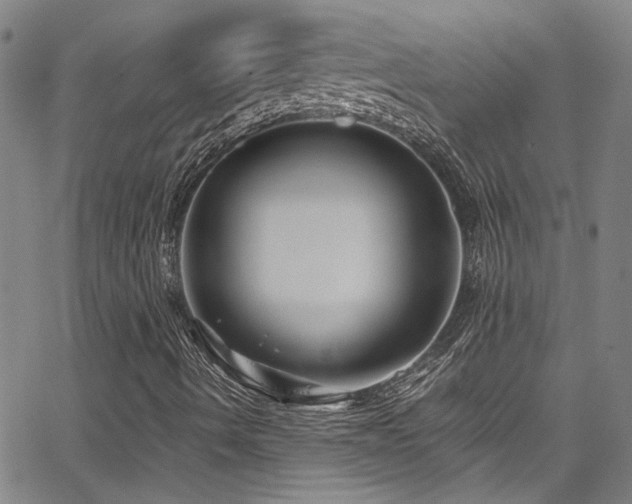 X0000065961490200603031114