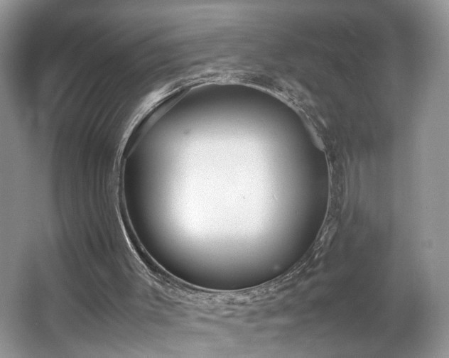 X0000065960003200603061202