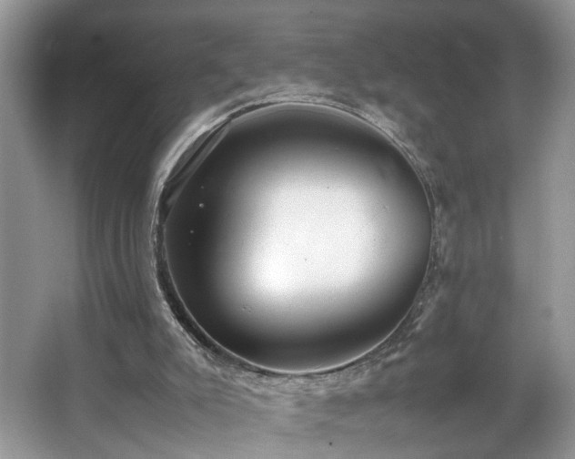 X0000065960007200603061202