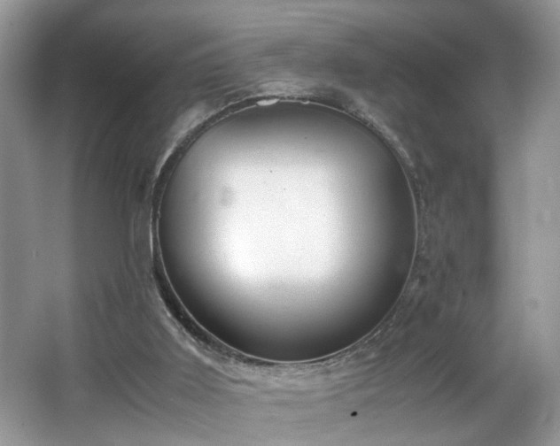 X0000065960011200603061202