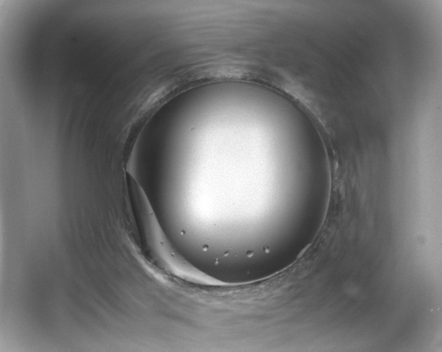 X0000065960013200603061202