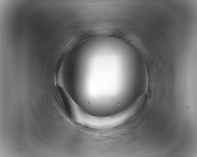 X0000065960021200603061202