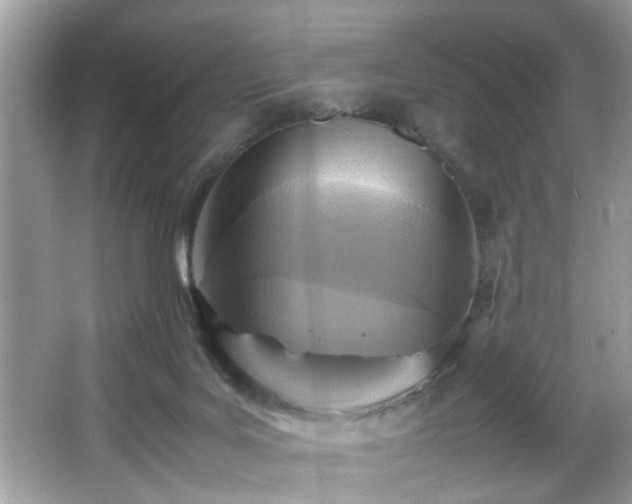 X0000065960027200603061202