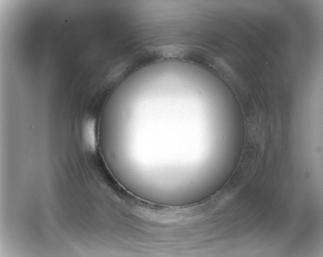X0000065960028200603061202
