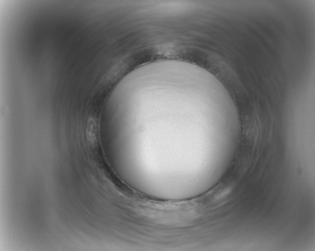 X0000065960036200603061202