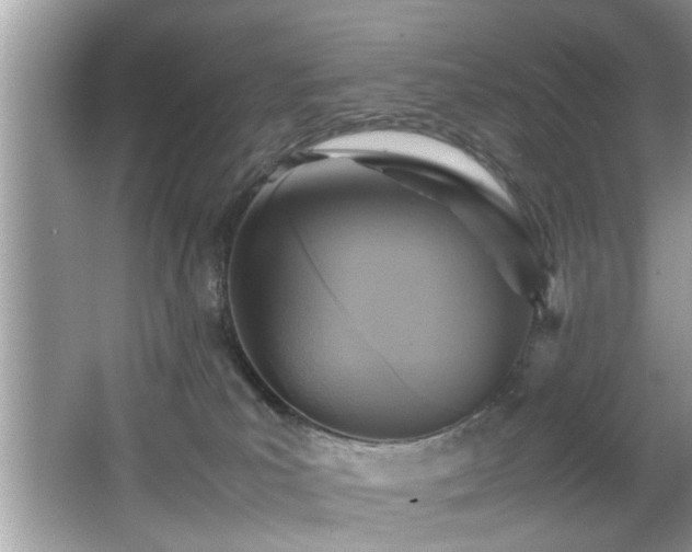 X0000065960039200603061202