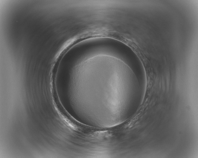 X0000065960054200603061201