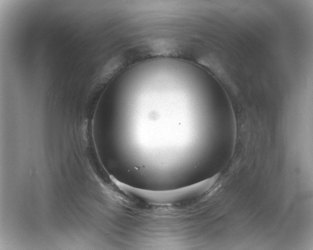 X0000065960066200603061201