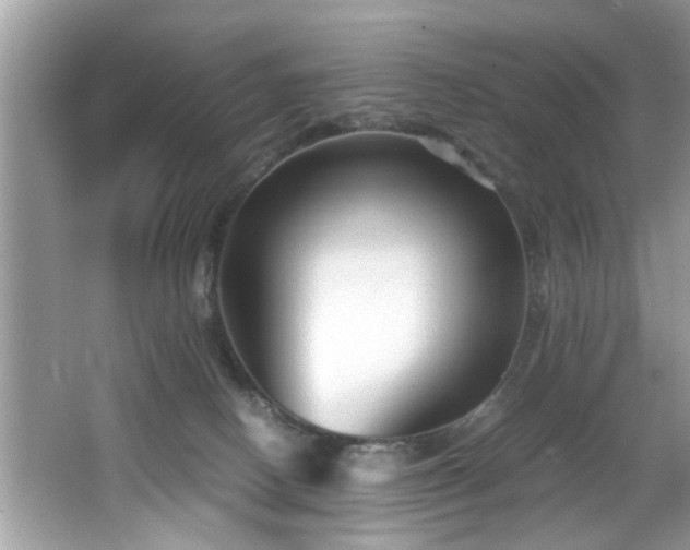 X0000065960082200603061201