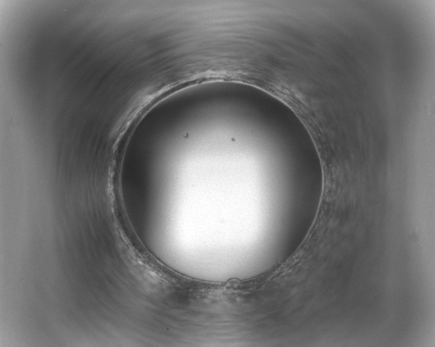 X0000065960098200603061201