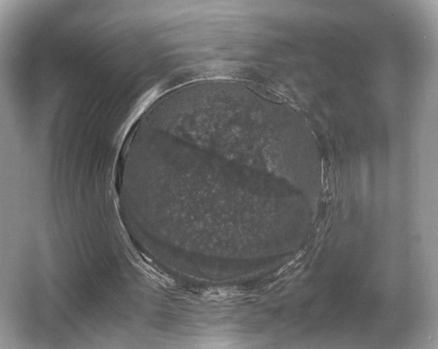 X0000065960099200603061201