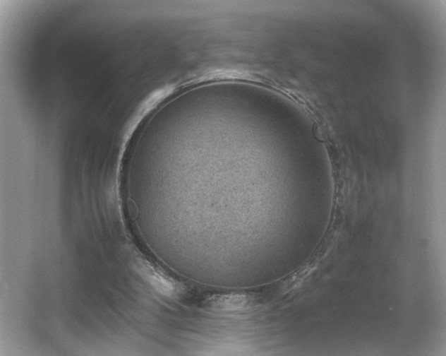X0000065960104200603061201