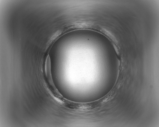 X0000065960105200603061201