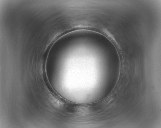 X0000065960106200603061201