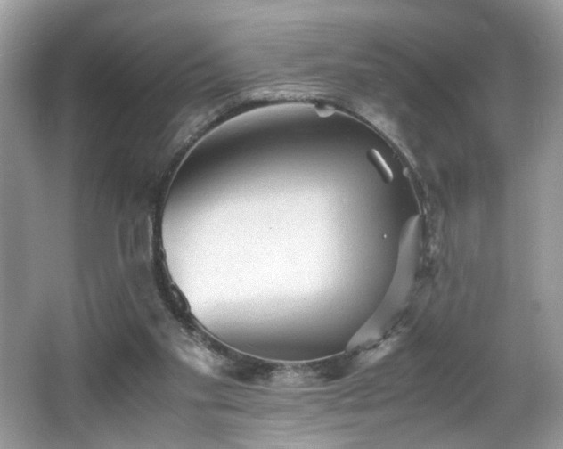 X0000065960109200603061201