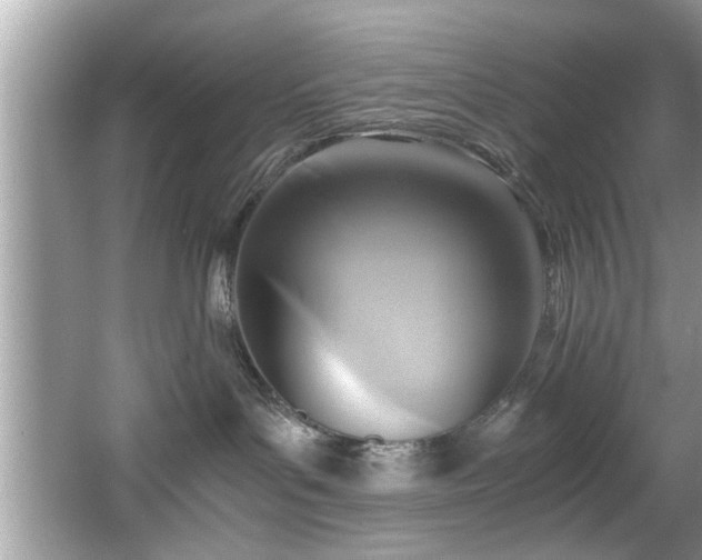 X0000065960143200603061200