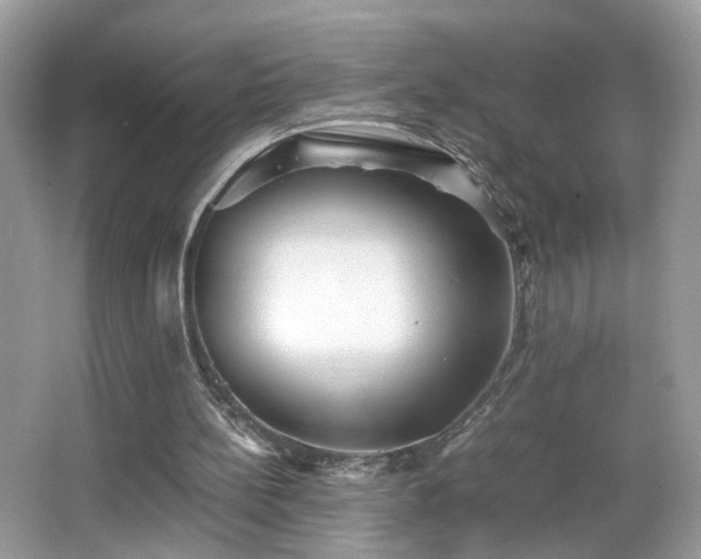 X0000065960148200603061159