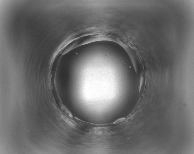 X0000065960150200603061159