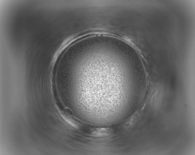 X0000065960151200603061159